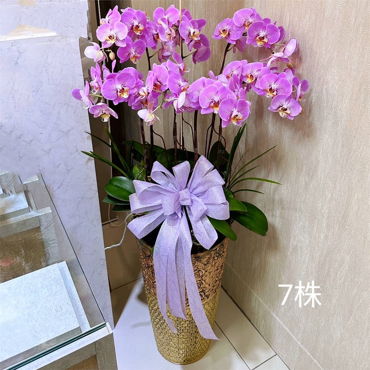 7株粉色蘭花