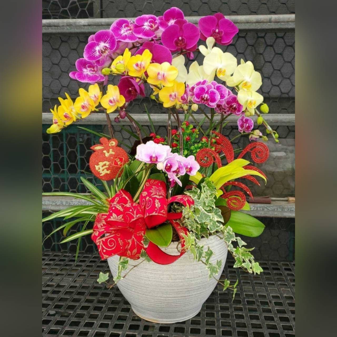 桌上型蘭花組合盆A款