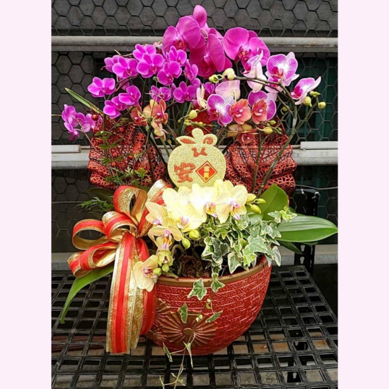 桌上型蘭花組合盆B款