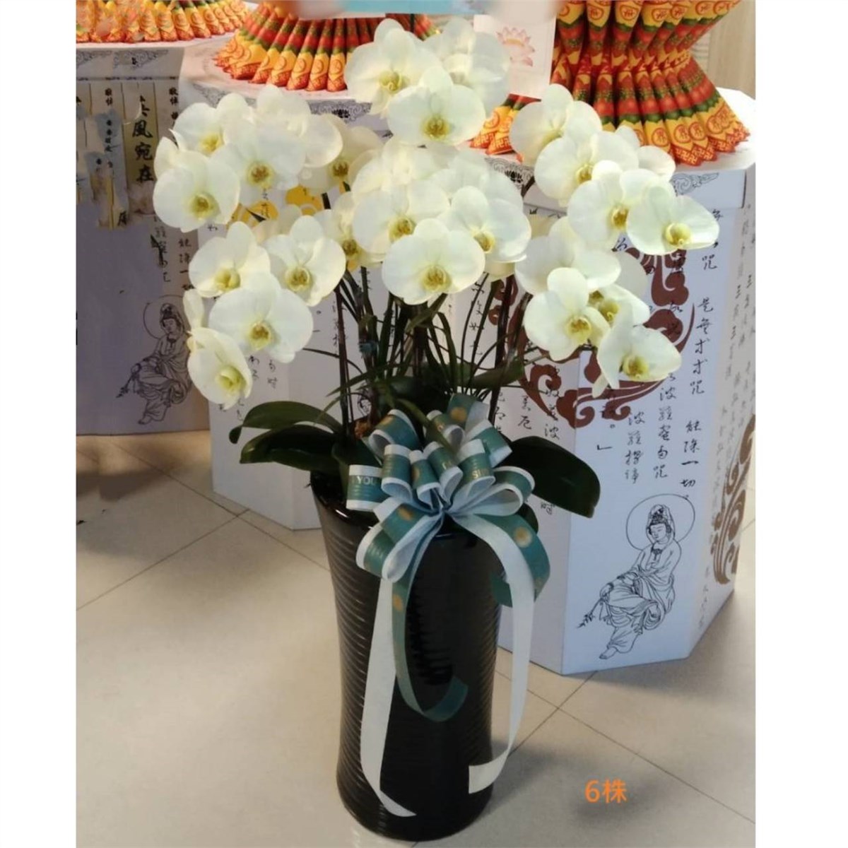 6株蘭花(黃色)