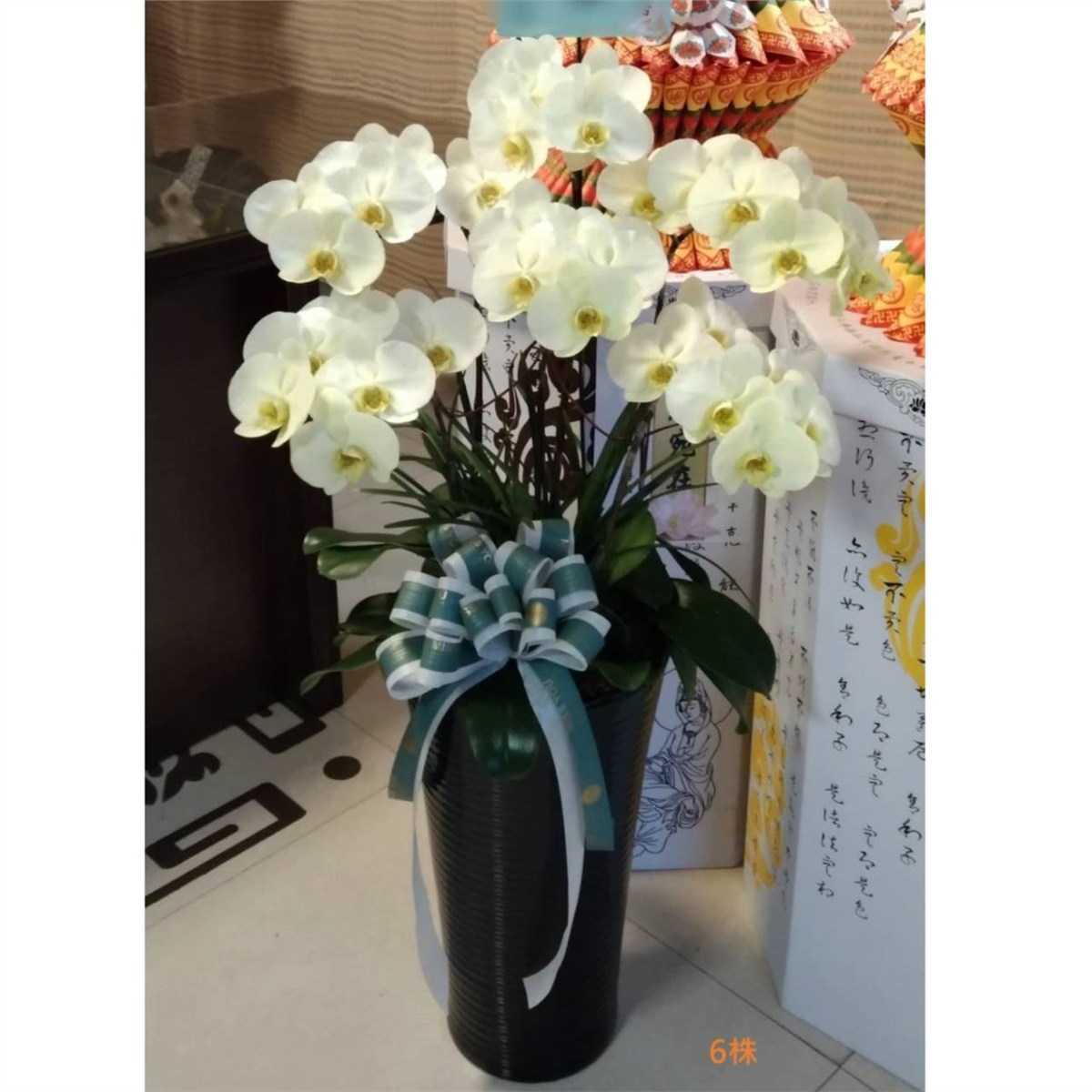 6株蘭花(黃色)