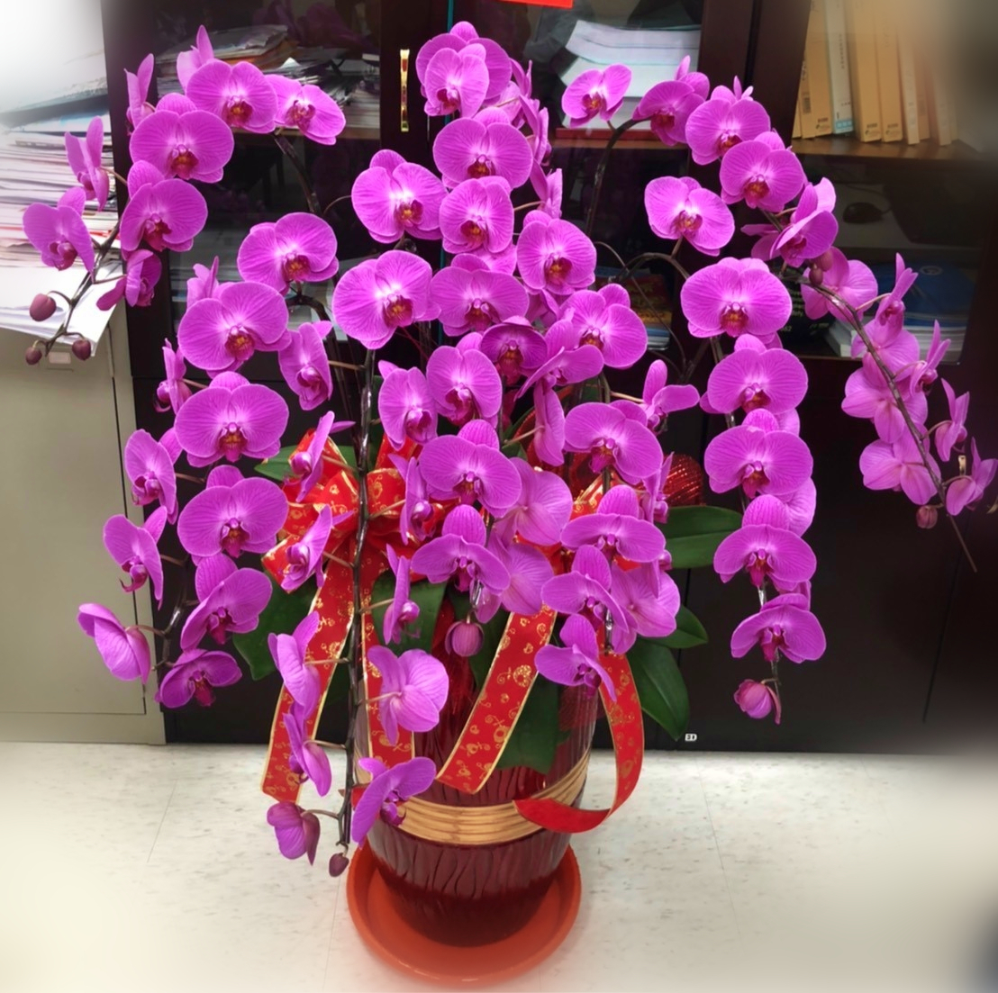 8株粉色高雅蘭花(喜慶)