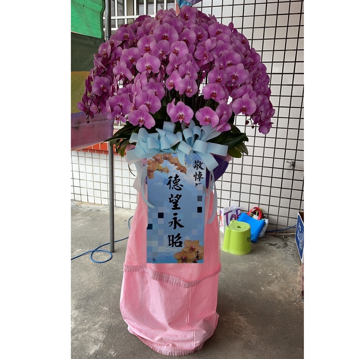 24株追念蘭花(紅)B10
