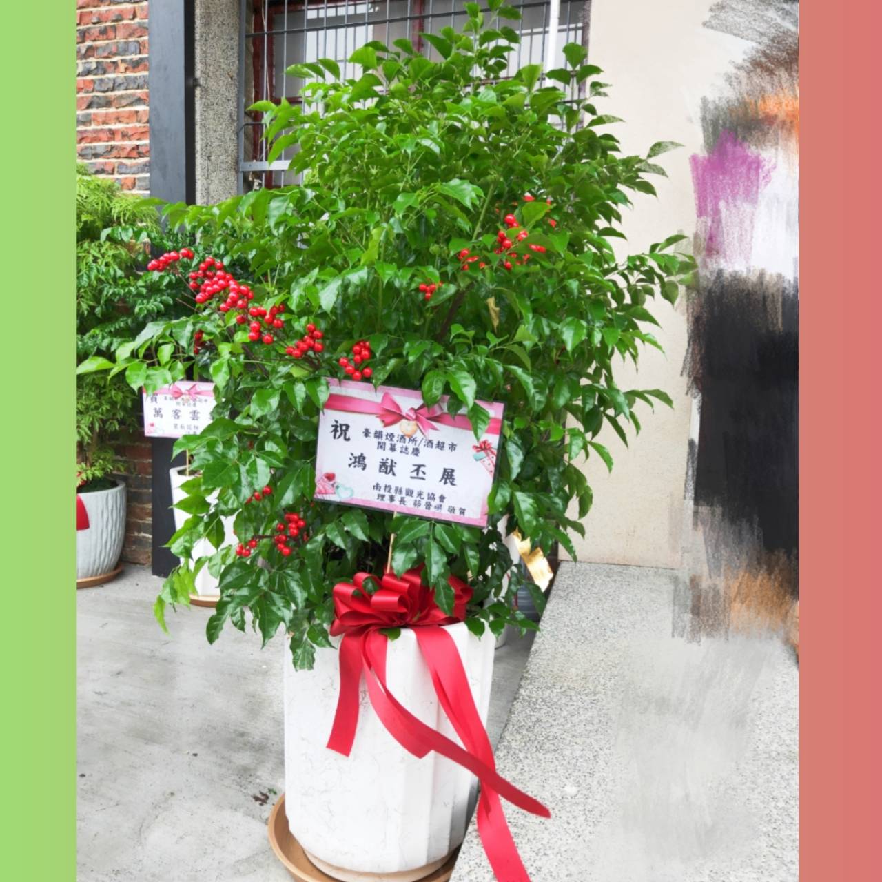 招財進寶盆栽