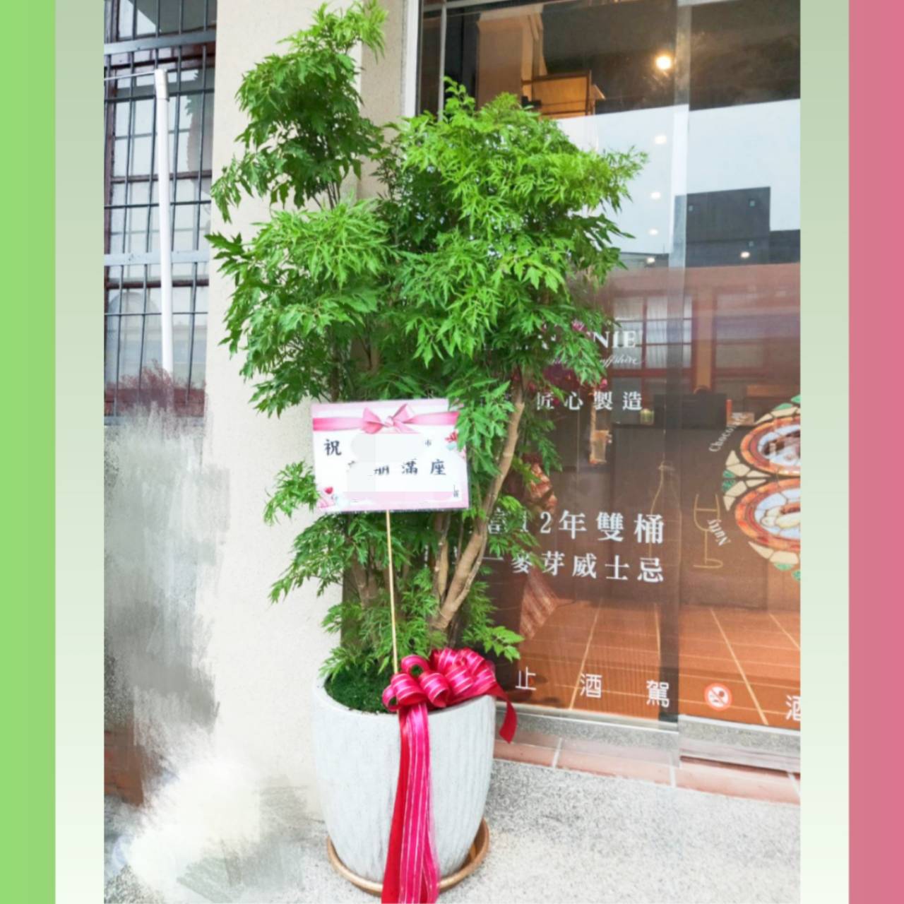 納財盆栽