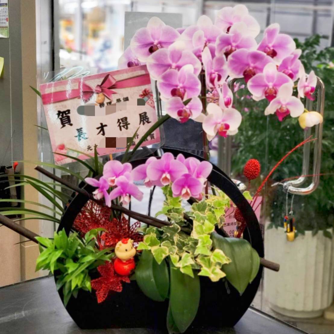 蝴蝶蘭圓型組合盆景