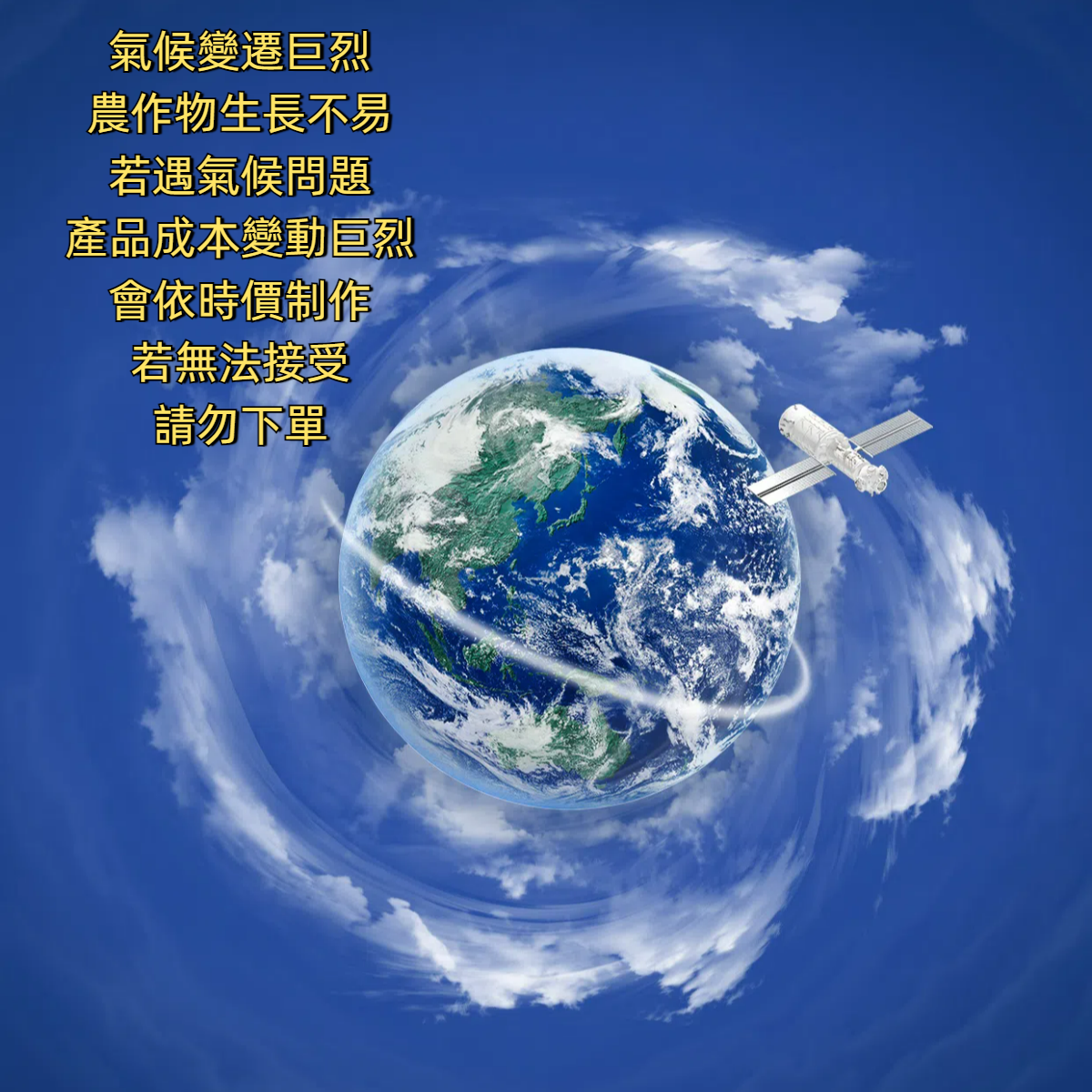 高雅藝術花籃E款