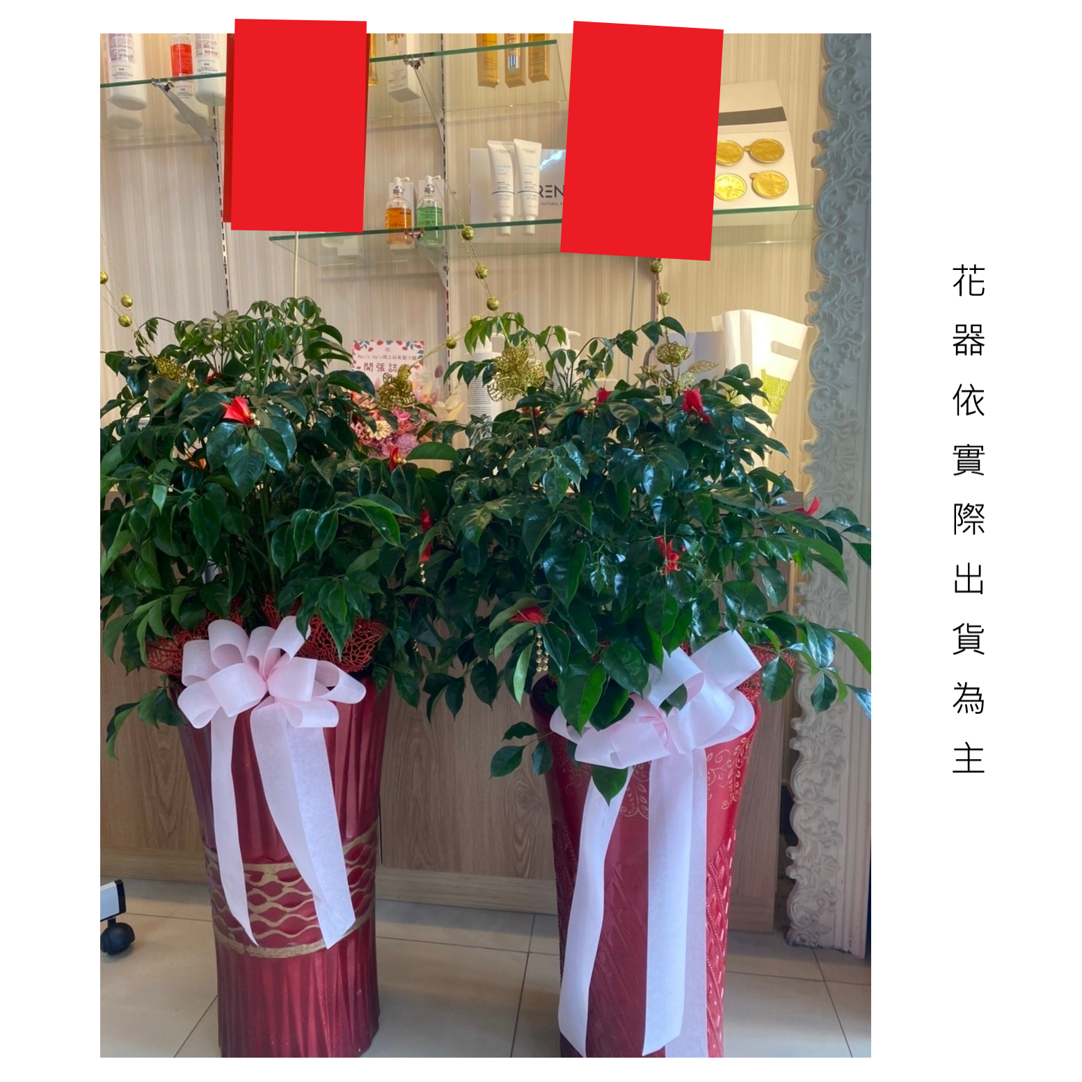 旺旺樹