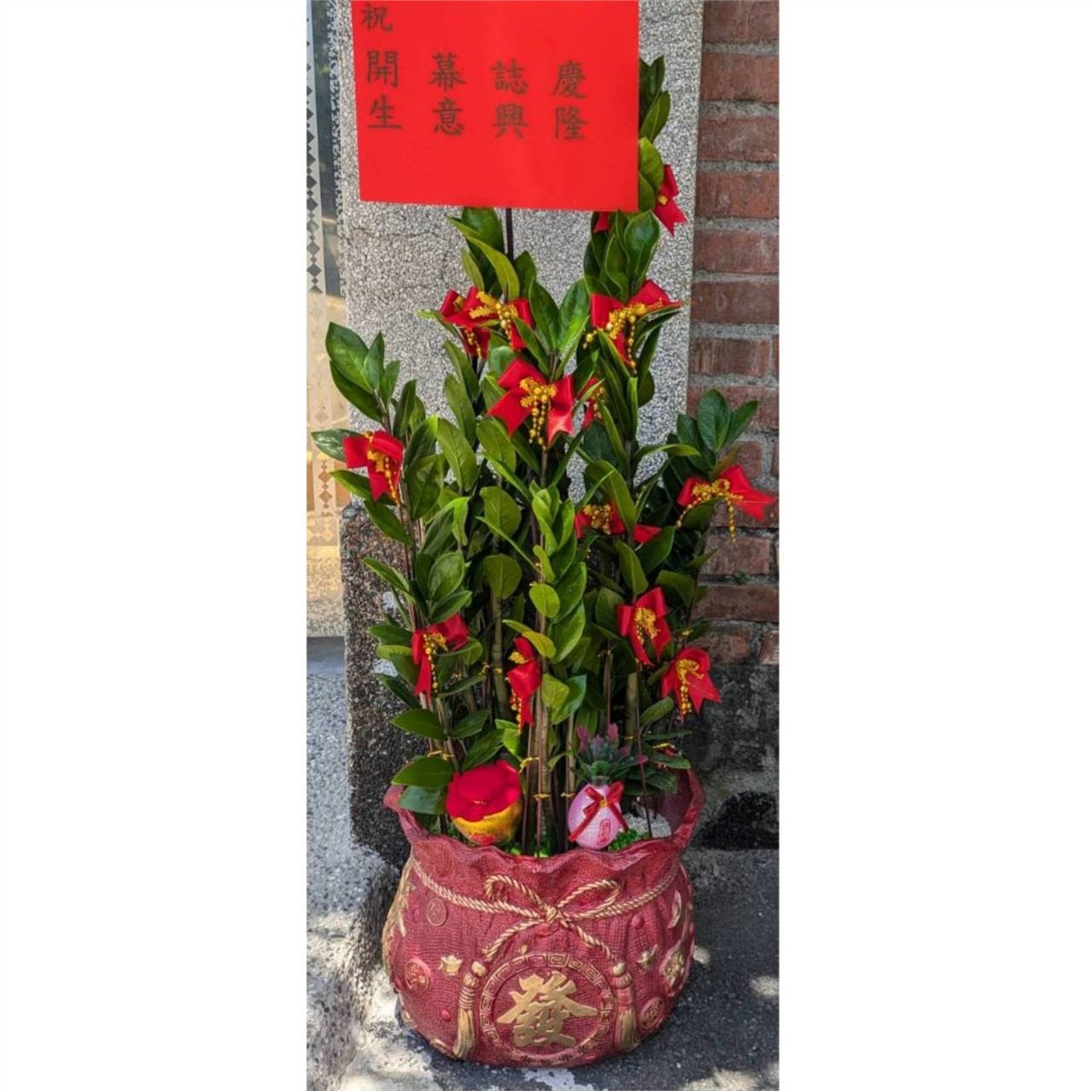 發財福袋發財樹