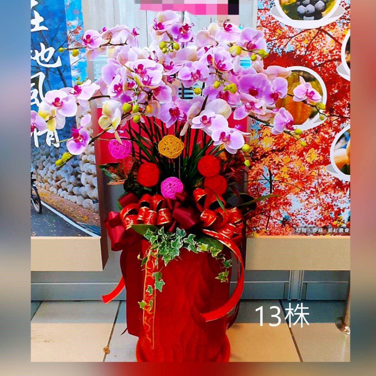 13株粉色蘭花盆景(台中)