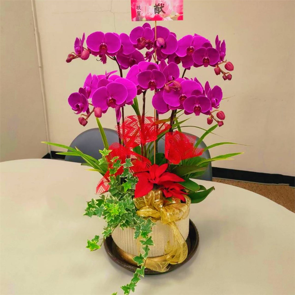 6株粉色蘭花桌上型盆景(台中)
