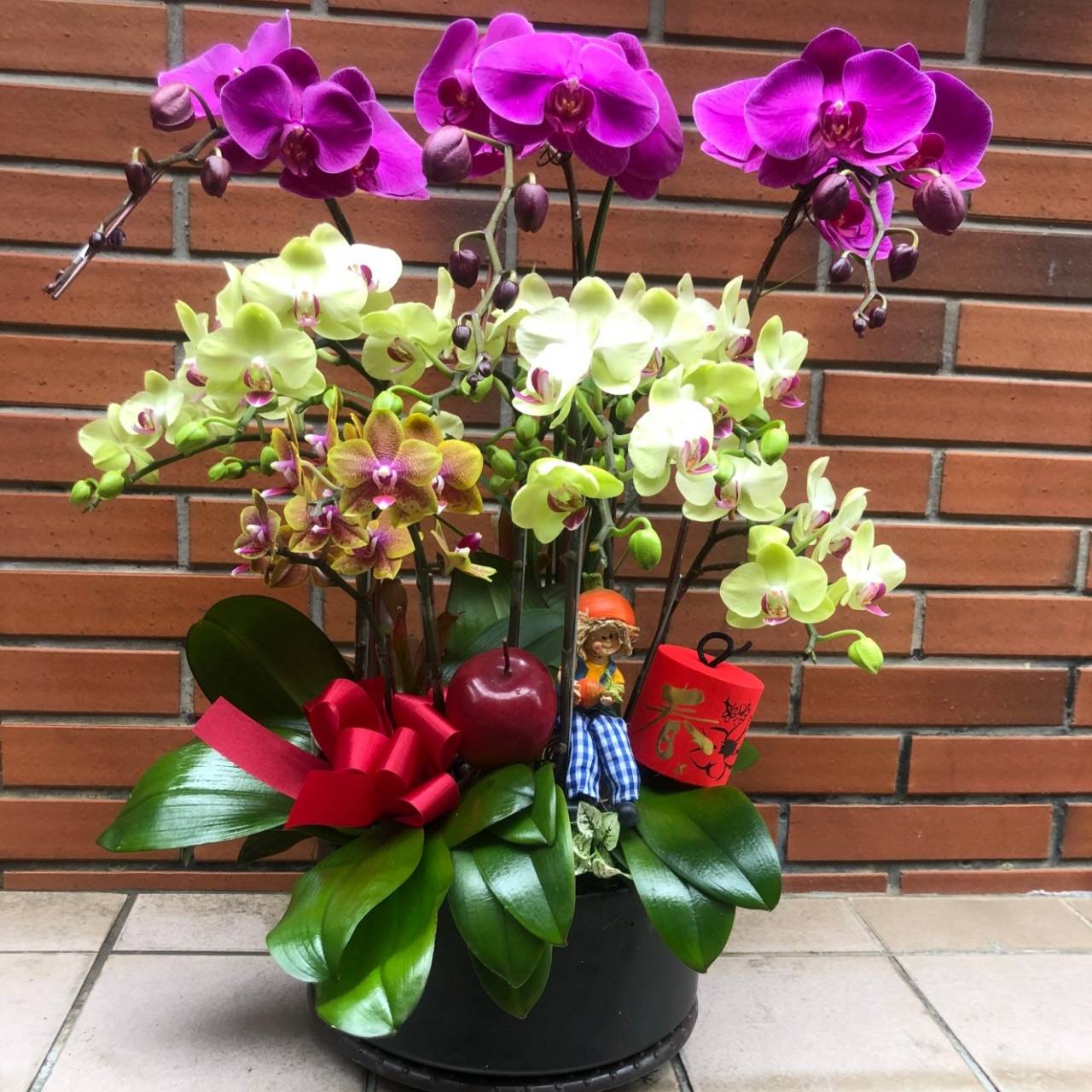 藝術蘭花盆景K款