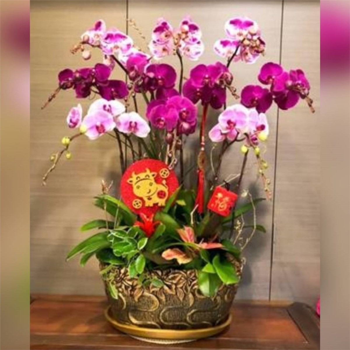 藝術蘭花盆景H款