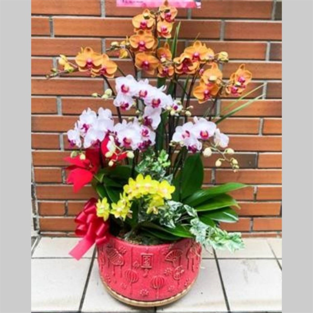 藝術蘭花盆景F款