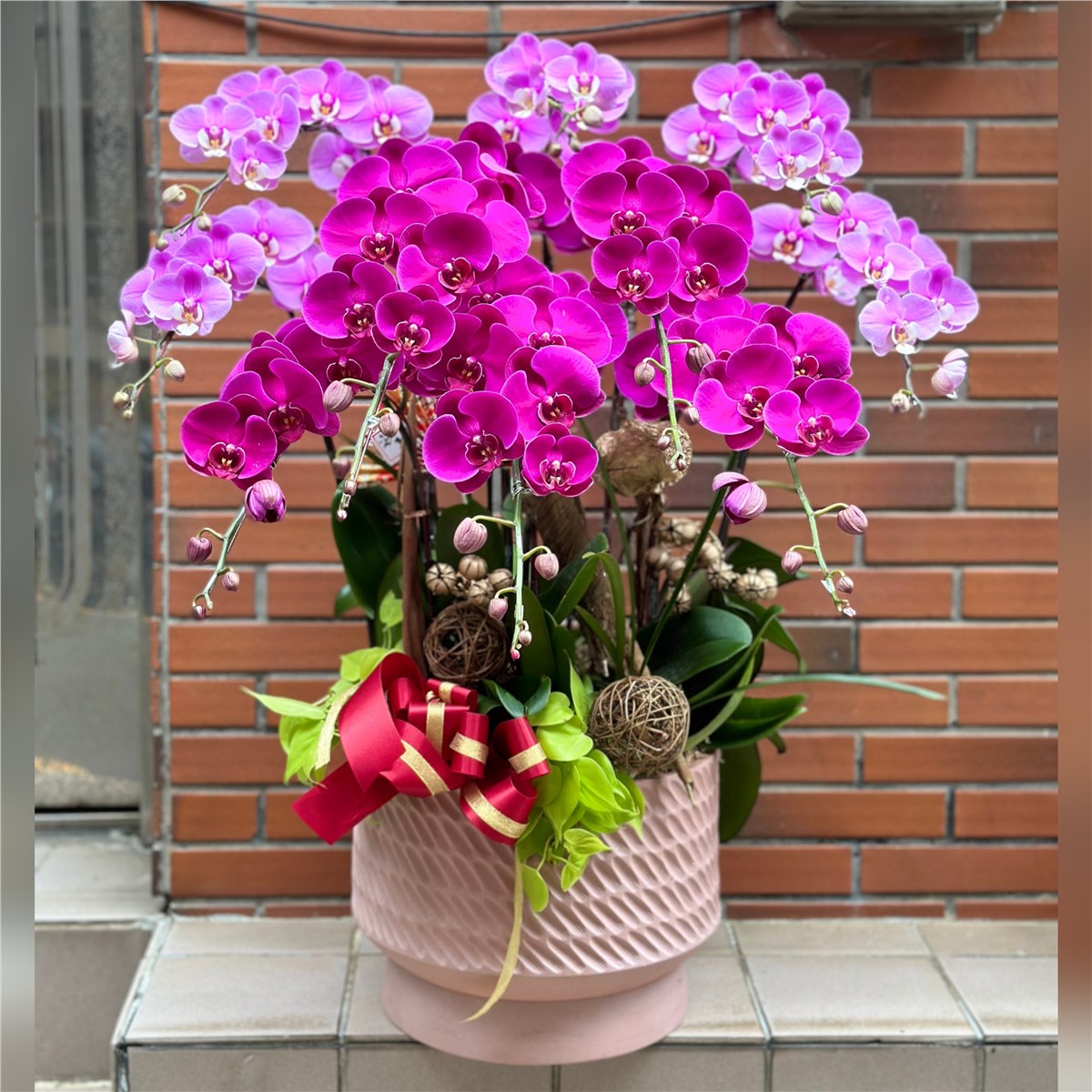 藝術蘭花盆景H款