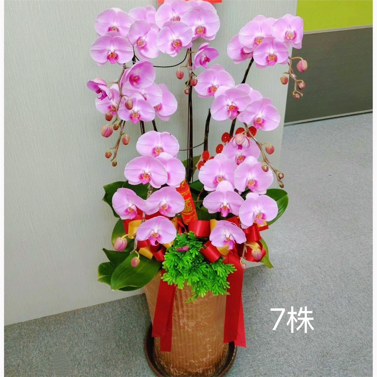 7株蘭花盆景(粉)