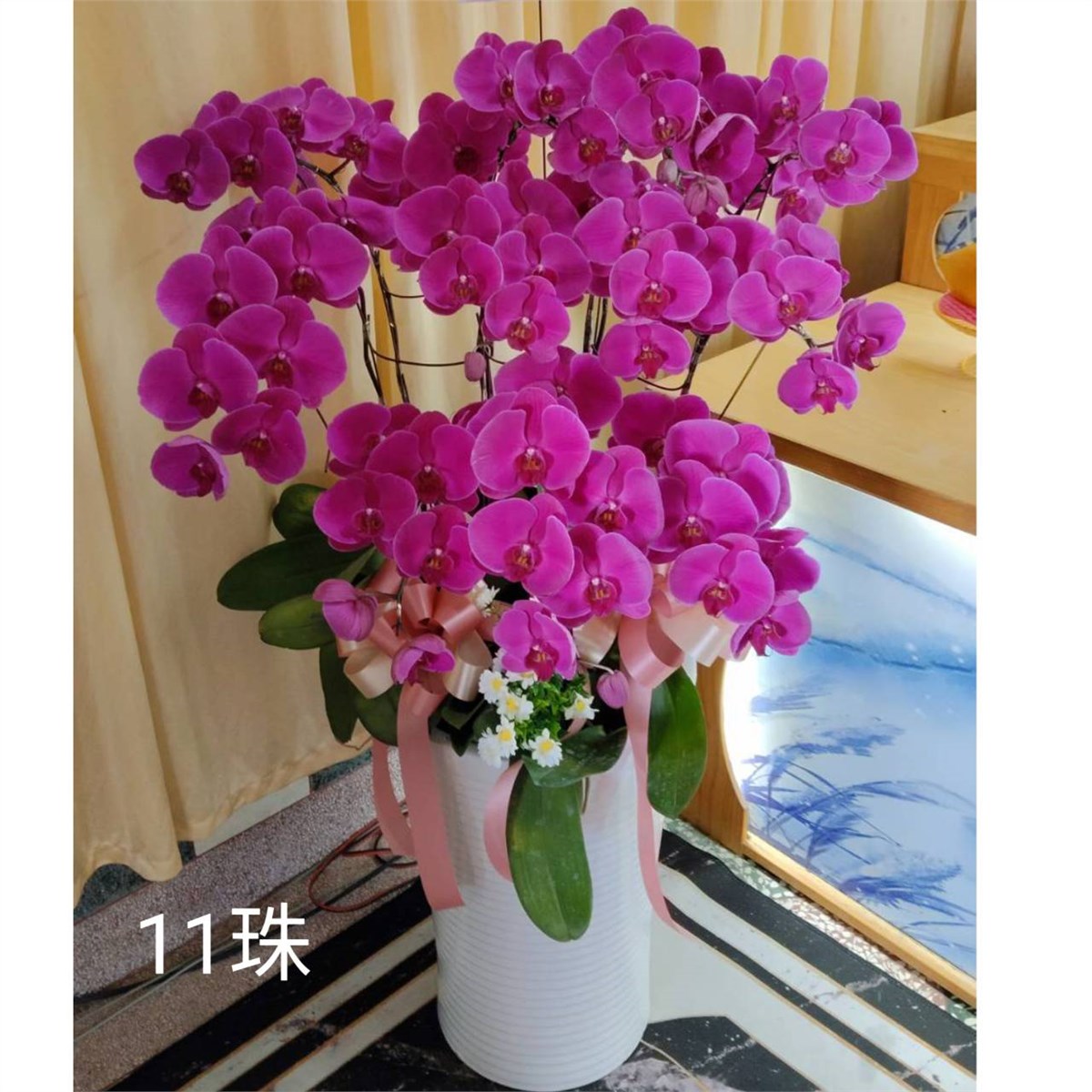 11株蘭花盆景(粉)