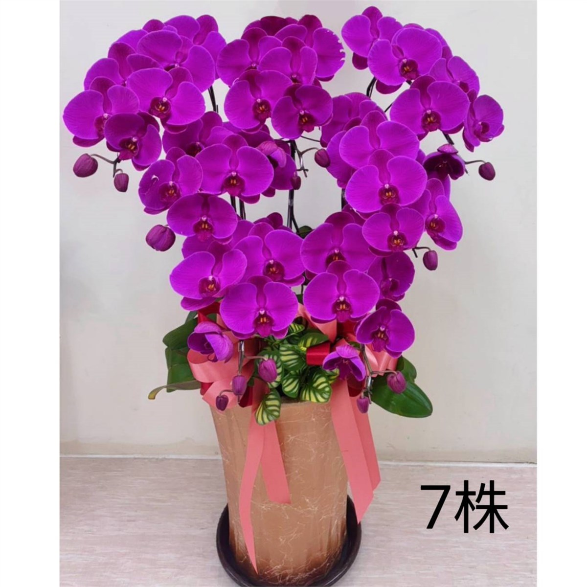 7株蘭花盆景(粉)