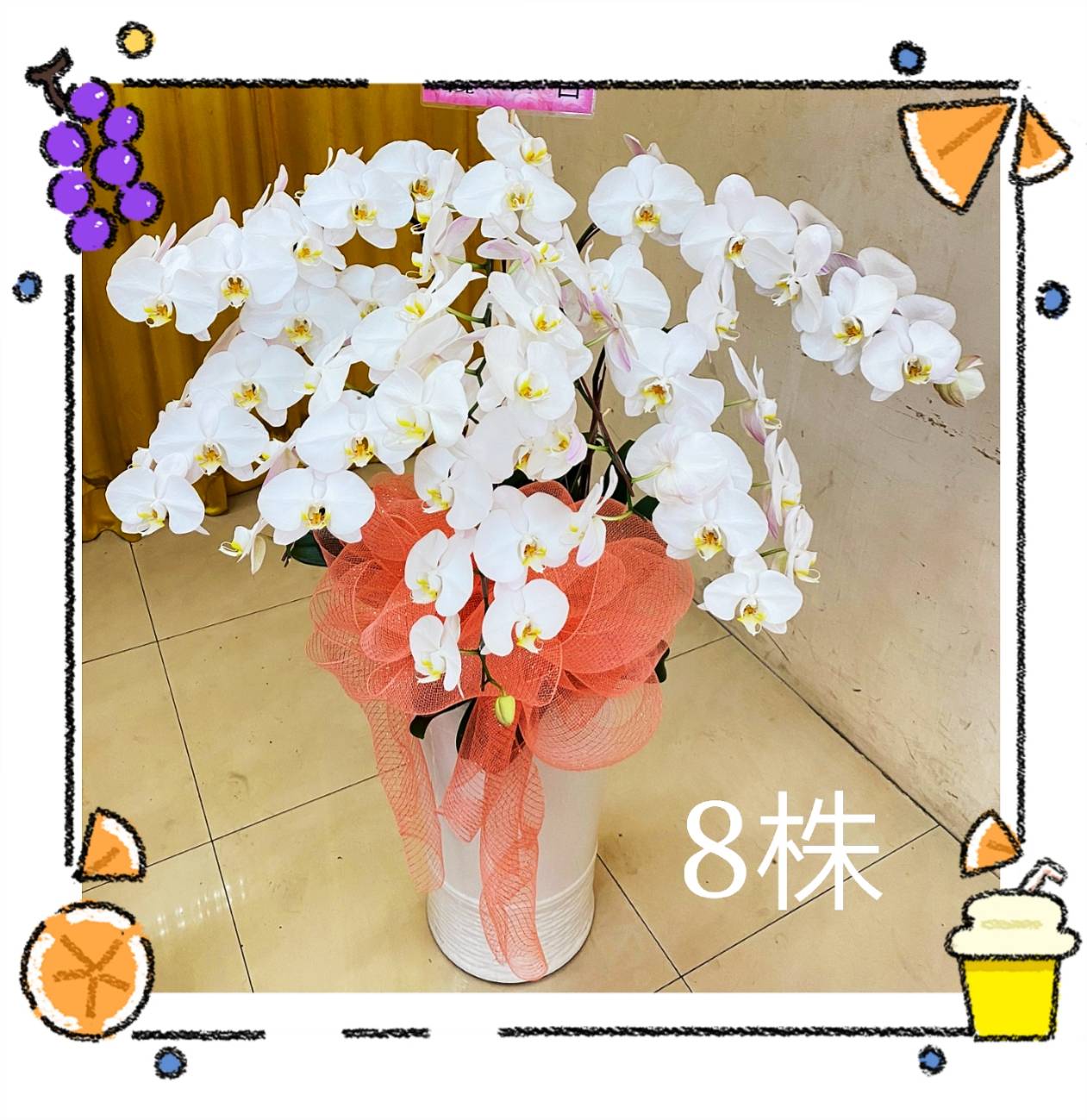 高雅八株蘭花盆(白)