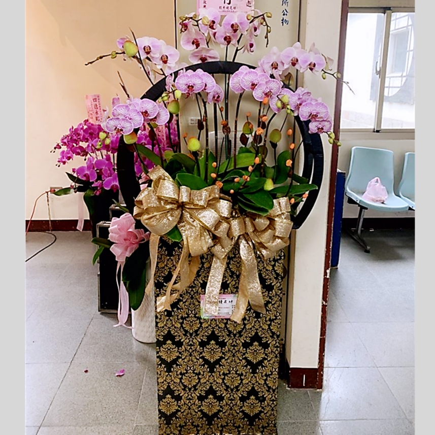 藝術圓框蘭花