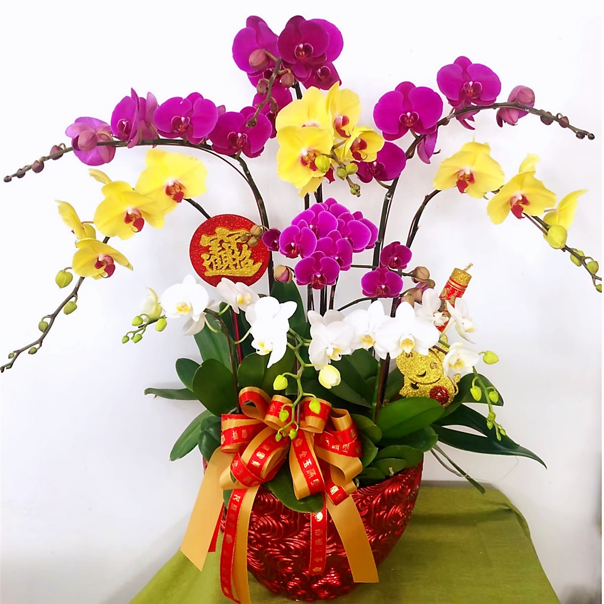 桌上型蘭花M款