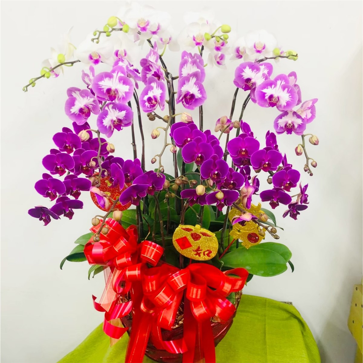 桌上型蘭花L款