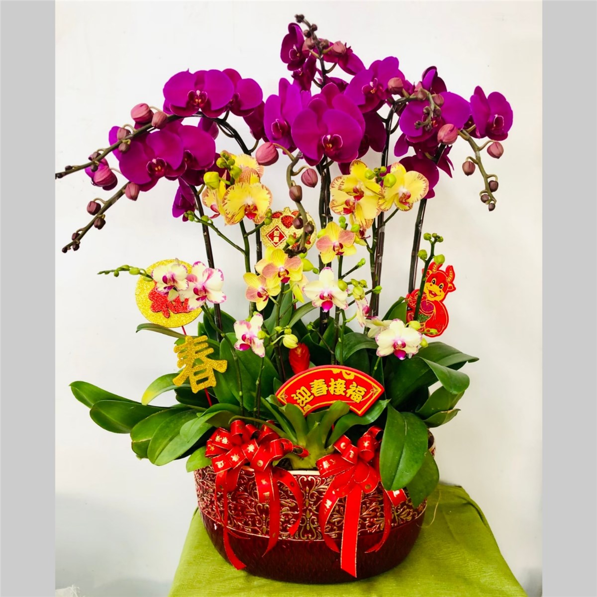 桌上型蘭花H款