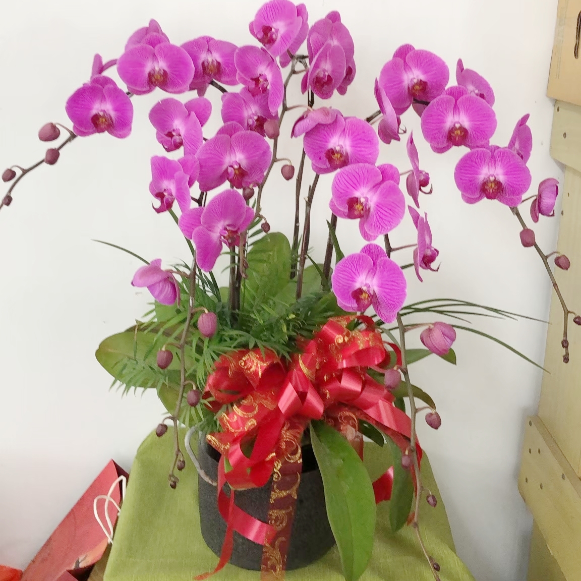 桌上型蘭花E款