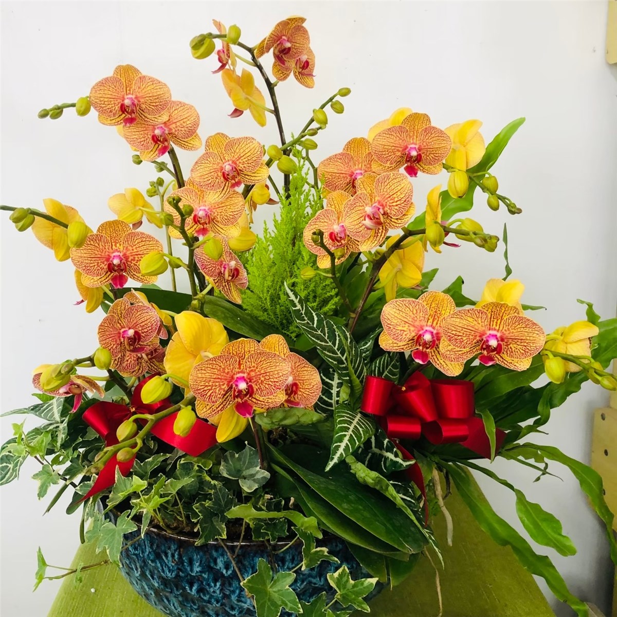 桌上型蘭花D款