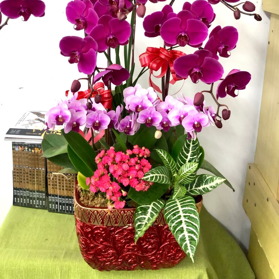 桌上型蘭花C款