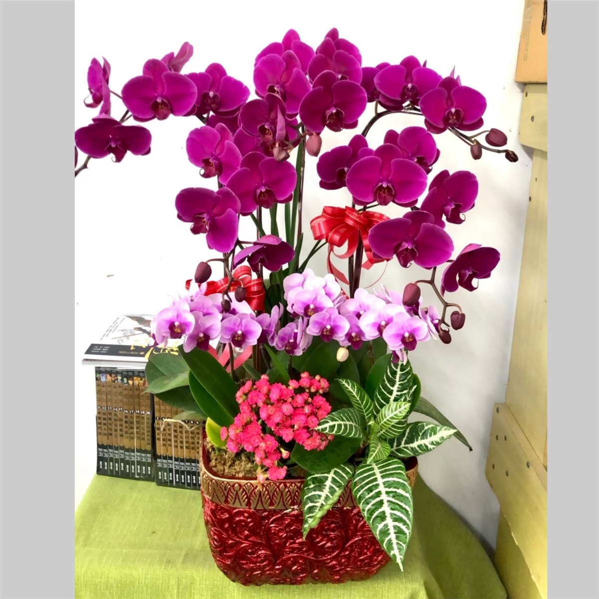 桌上型蘭花C款