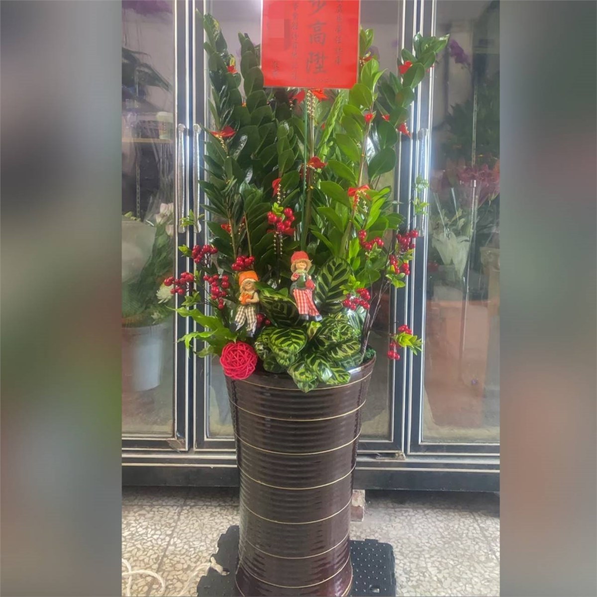 金錢樹盆栽F款