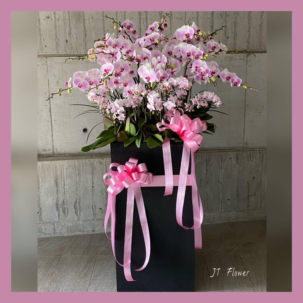 組合木箱粉色蘭花盆栽