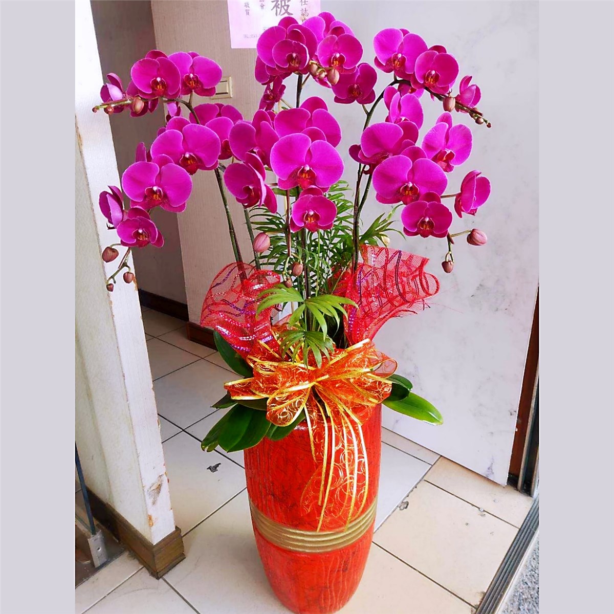 典雅六株蘭花盆(粉)