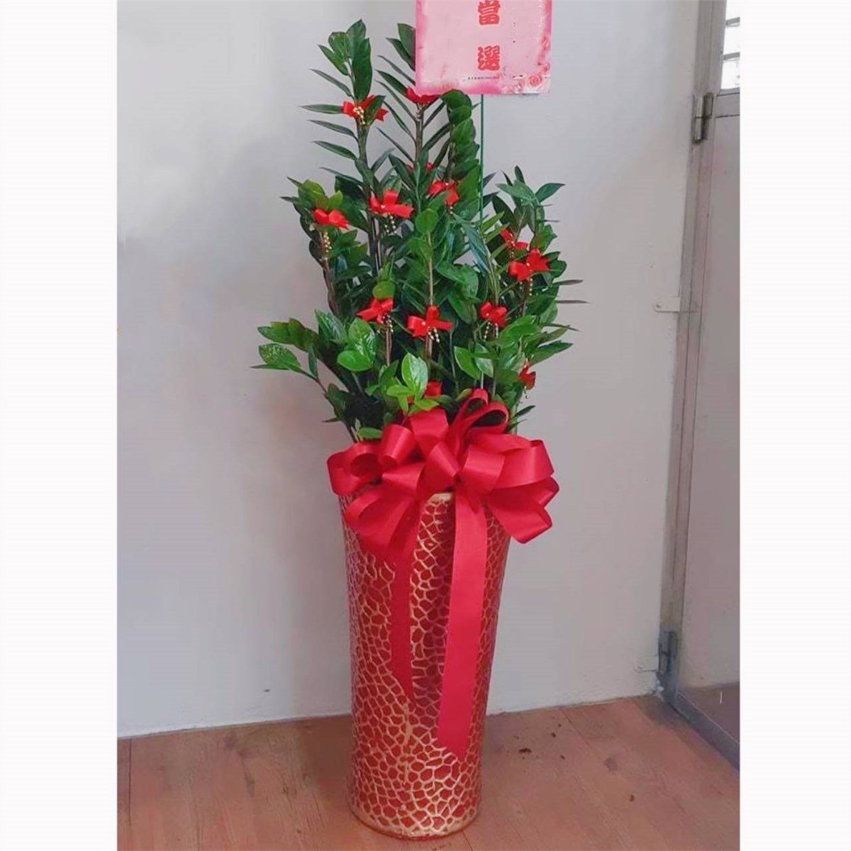金錢樹祝賀盆栽-B款