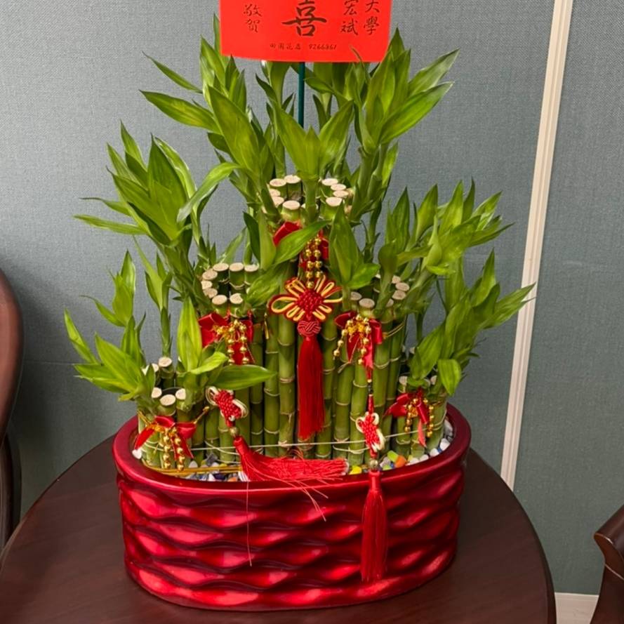開運竹-02