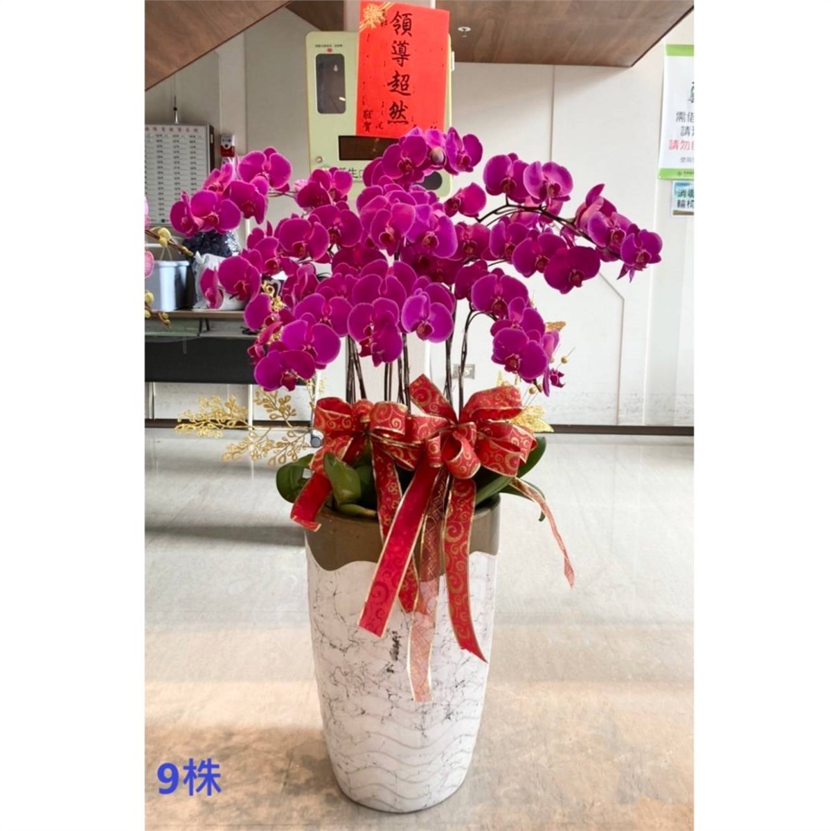 9株蘭花盆景(粉色)