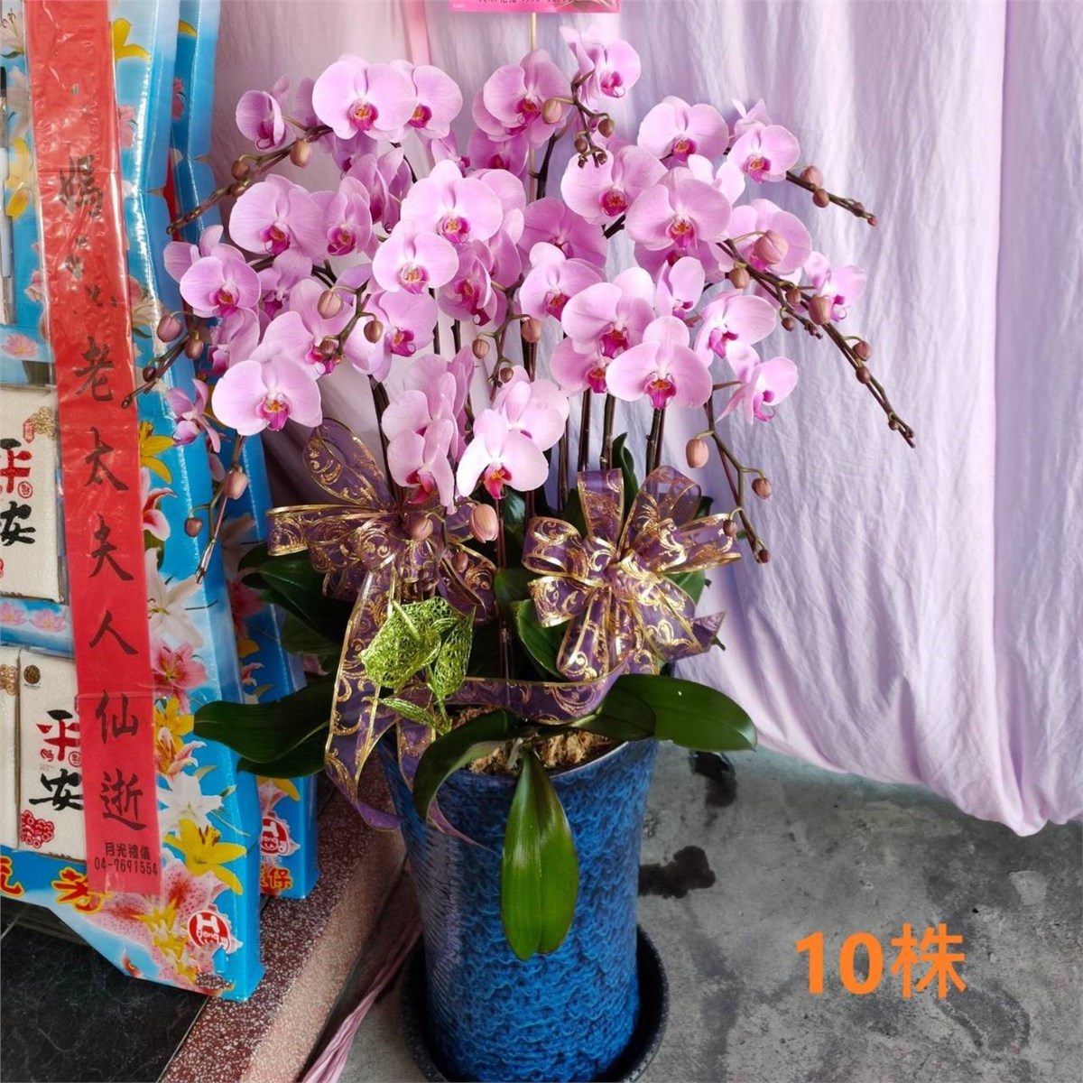 十株蘭花盆景(粉)限彰化殯儀館