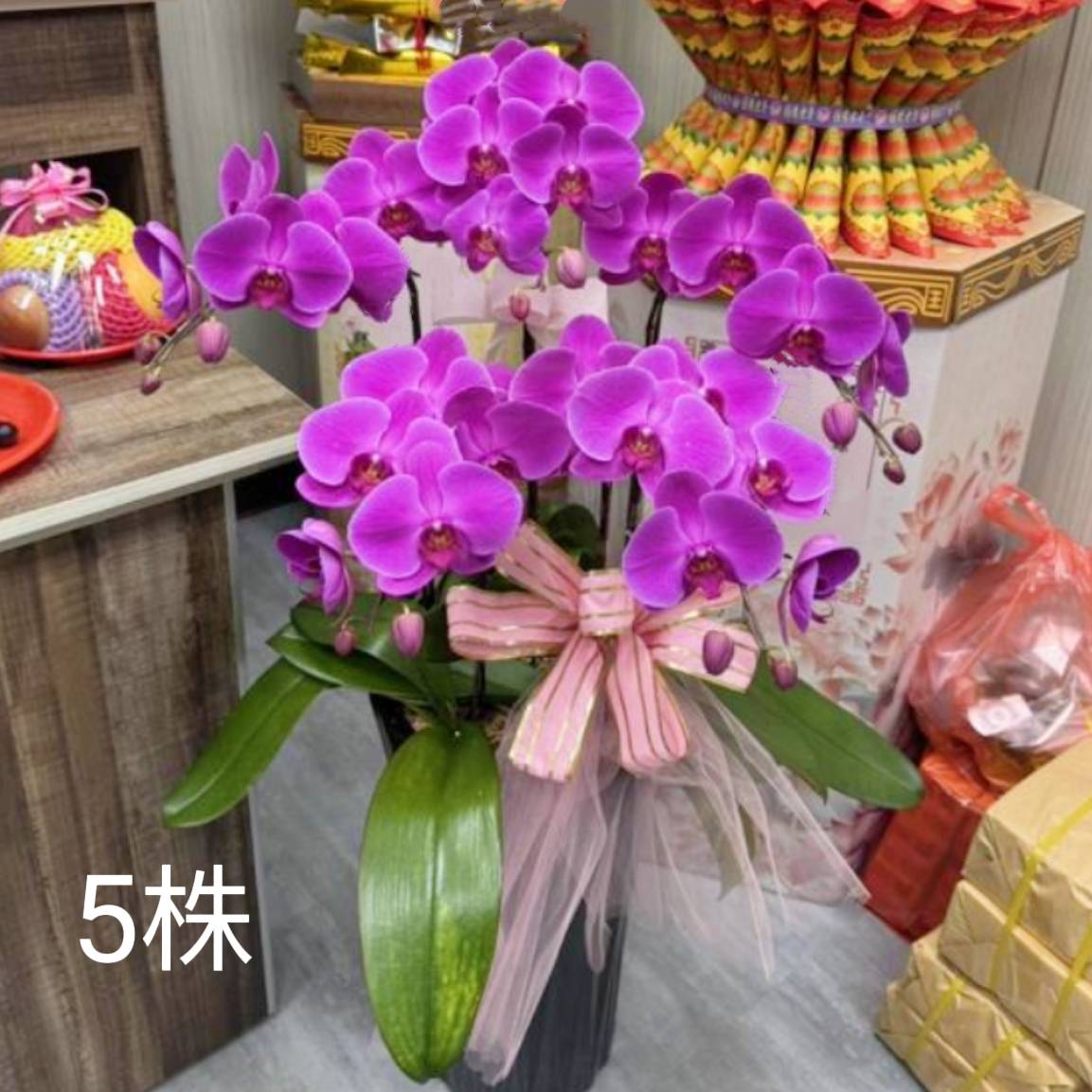 5株蘭花盆景(粉)限彰化殯儀館