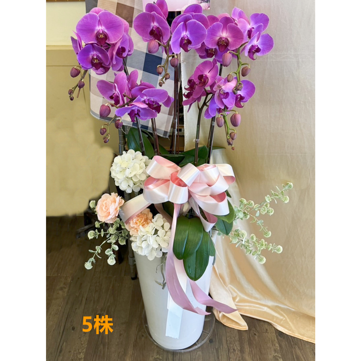 5株粉色蘭花盆