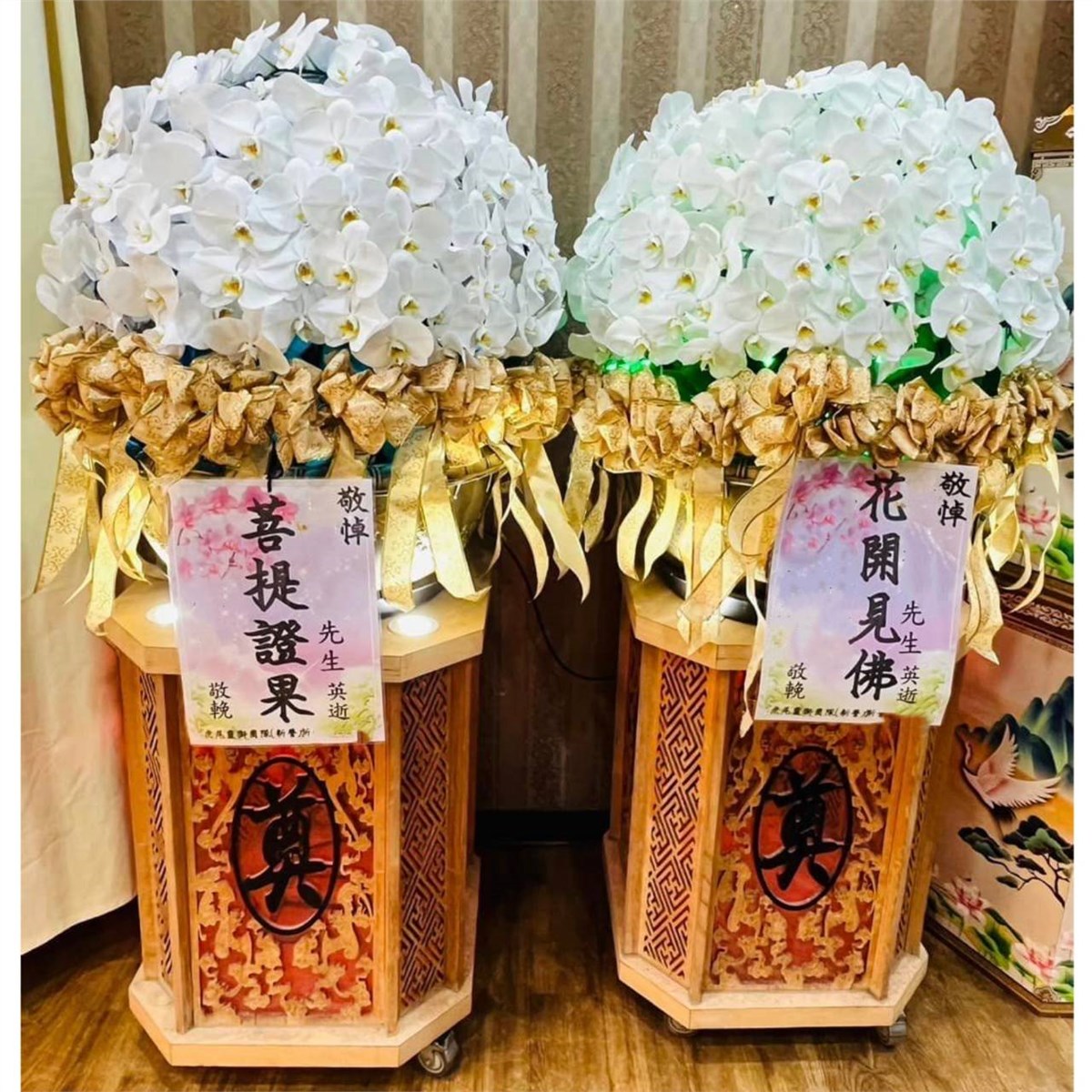大型蘭花白色花球(花器需回收)