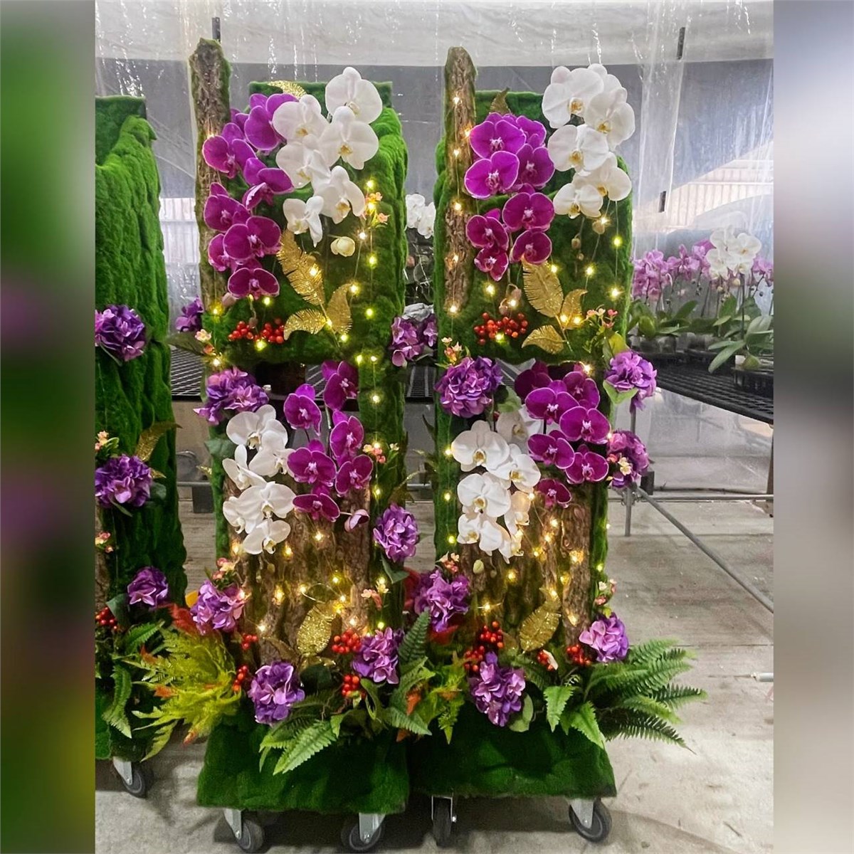 (館外)蘭花出租君品綠境蘭花(告別式當天出租)