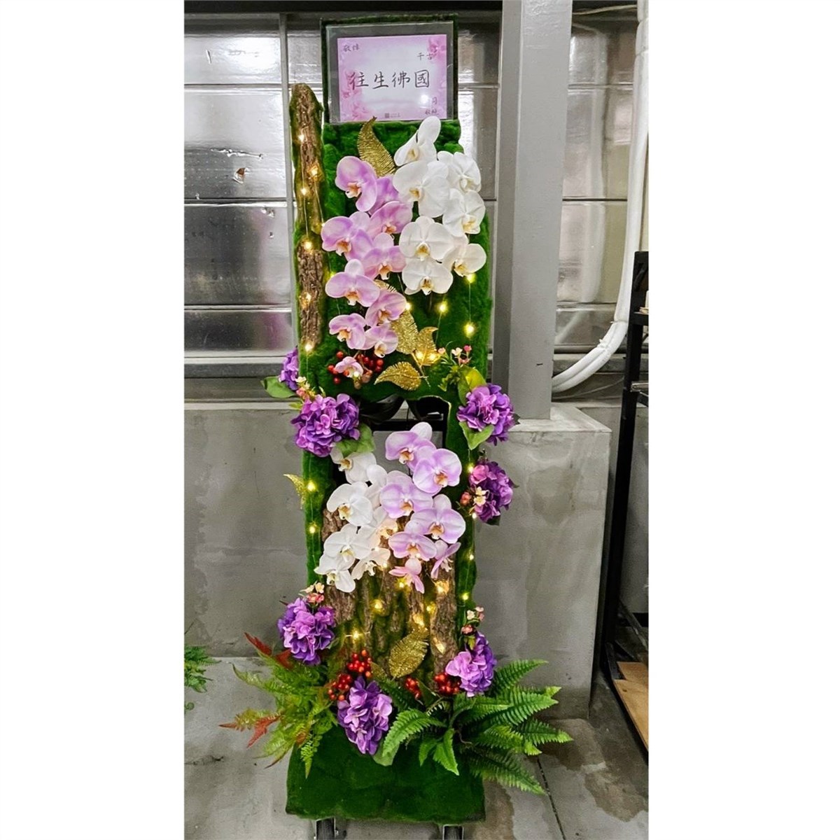 (館外)蘭花出租君品綠境蘭花(告別式當天出租)