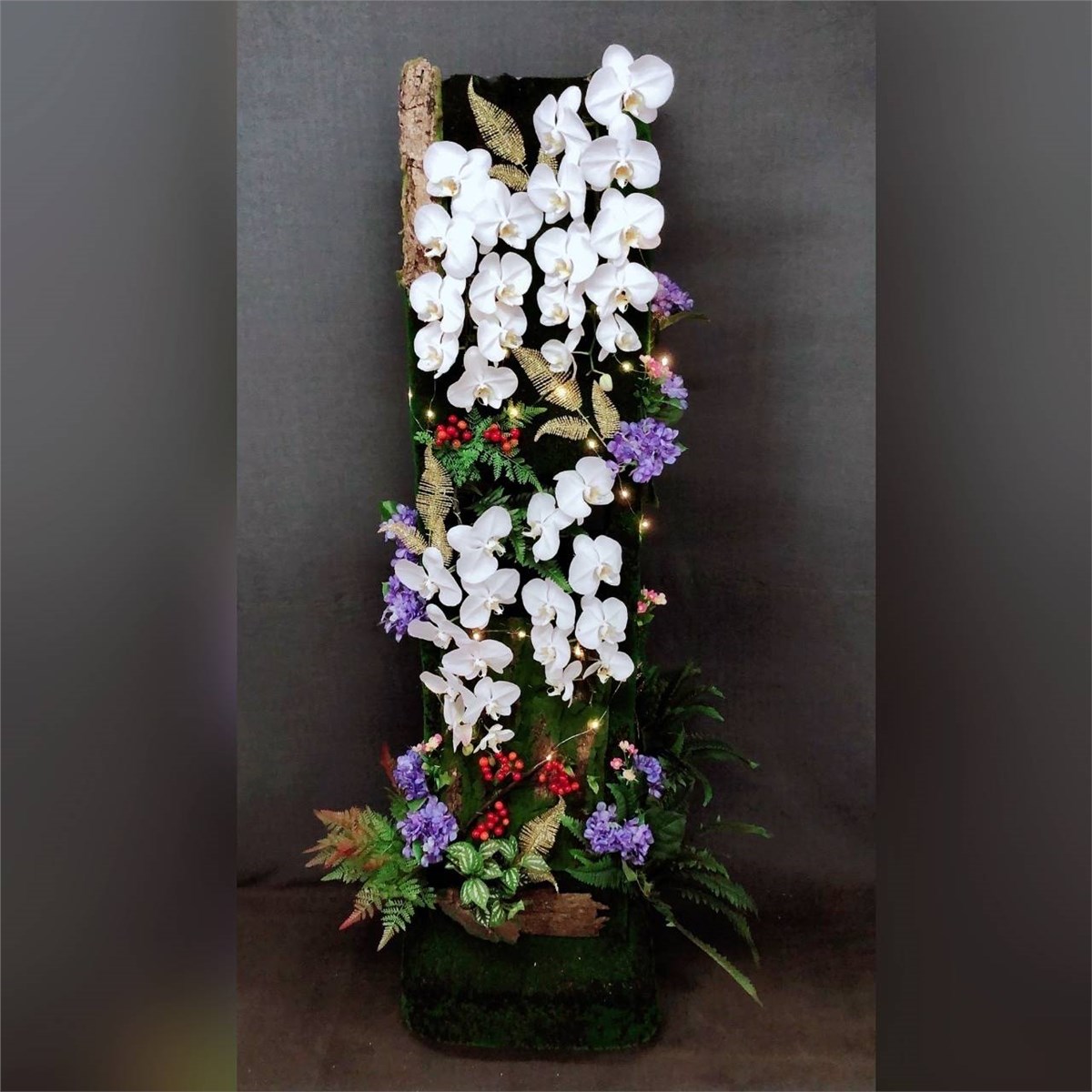 (館外)蘭花出租君品綠境蘭花(告別式當天出租)