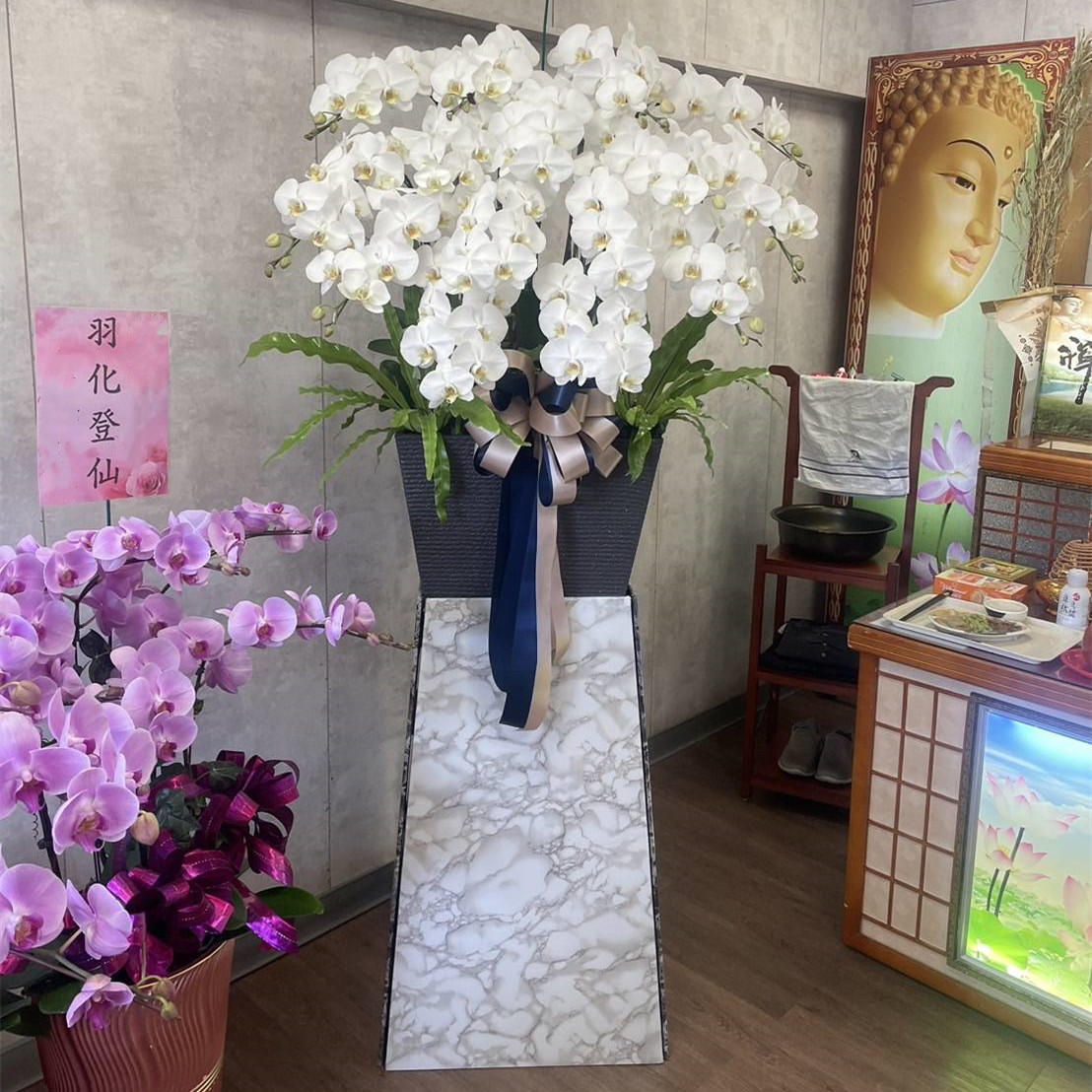 200CM 霸王蘭花 (限館內/告別式當天出租/白色)