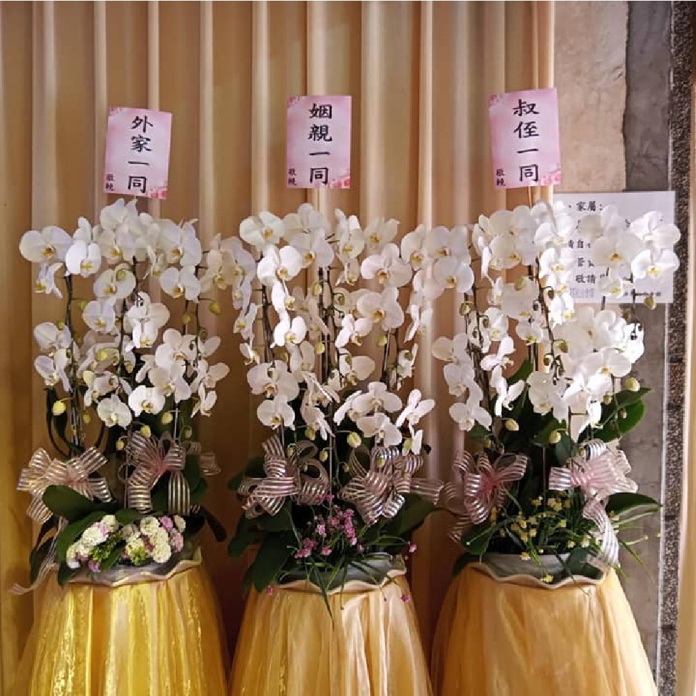 出租蘭花(白/限館內告別式會場/2對出貨)