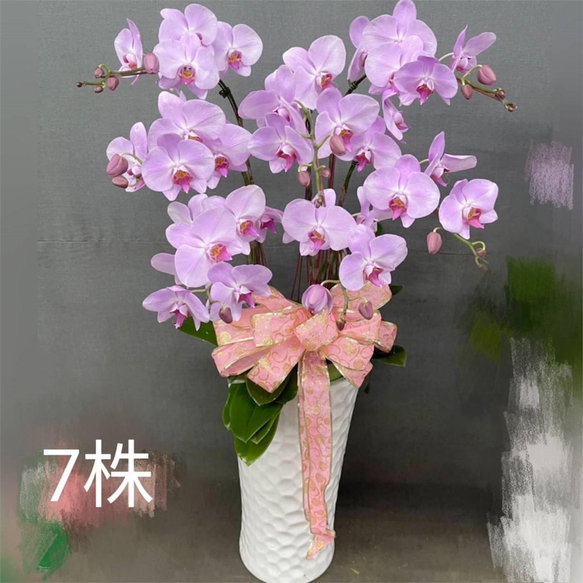 7株蘭花(粉)