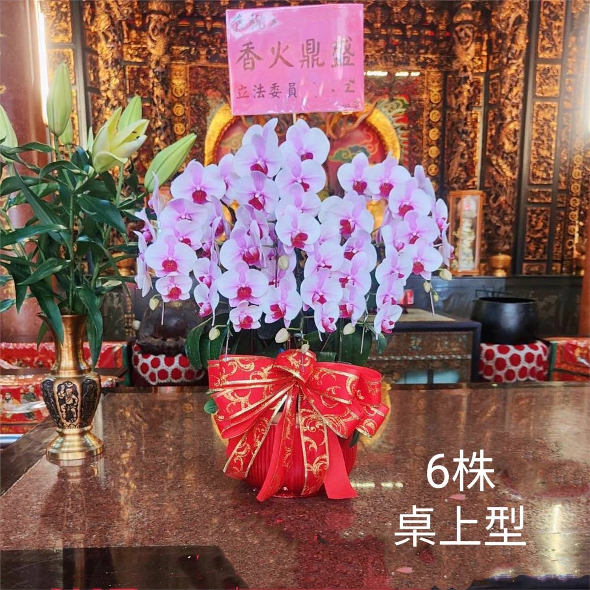 6株桌上型蘭花(粉色)