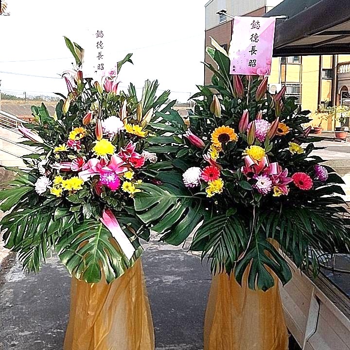 高架花藍A01