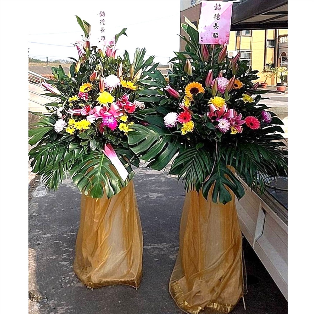 高架花藍A01